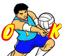 REAL VOLLEYBALL 2 sticker #14628235