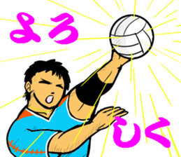 REAL VOLLEYBALL 2 sticker #14628237