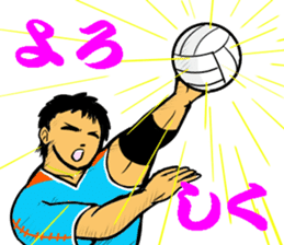 REAL VOLLEYBALL 2 sticker #14628237