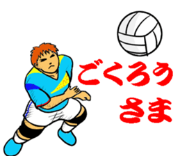 REAL VOLLEYBALL 2 sticker #14628238