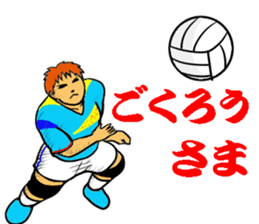 REAL VOLLEYBALL 2 sticker #14628238