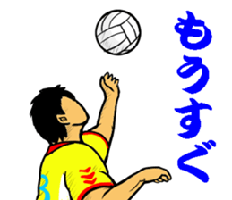 REAL VOLLEYBALL 2 sticker #14628241