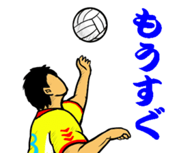 REAL VOLLEYBALL 2 sticker #14628241