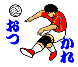 REAL VOLLEYBALL 2 sticker #14628243