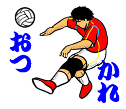 REAL VOLLEYBALL 2 sticker #14628243