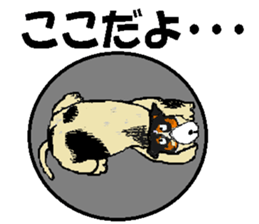 Imai chama sticker #14629521