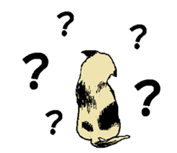 Imai chama sticker #14629528