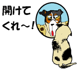 Imai chama sticker #14629532