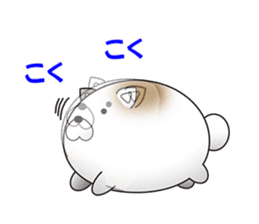 shiratama of cat sticker #14630118
