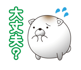 shiratama of cat sticker #14630122