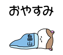 Name sticker Hatakeyama can be used sticker #14630765