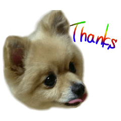 Talking FUKO in English