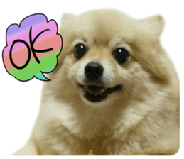 Talking FUKO in English sticker #14630902