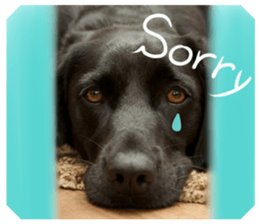 Talking FUKO in English sticker #14630905