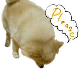 Talking FUKO in English sticker #14630907