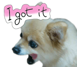 Talking FUKO in English sticker #14630908