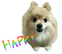 Talking FUKO in English sticker #14630909