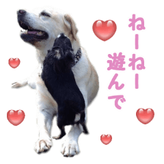 petstamp prize in 2016