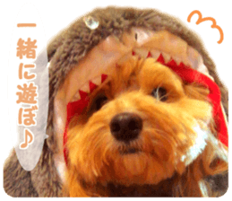 petstamp prize in 2016 sticker #14632073