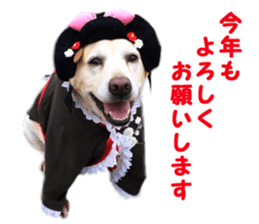 petstamp prize in 2016 sticker #14632081