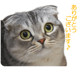 petstamp prize in 2016 sticker #14632082