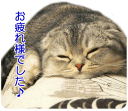 petstamp prize in 2016 sticker #14632083