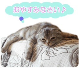 petstamp prize in 2016 sticker #14632084