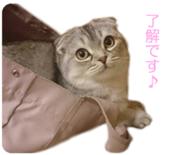 petstamp prize in 2016 sticker #14632085