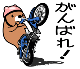 Bear rider Sticker sticker #14633114