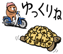 Bear rider Sticker sticker #14633125