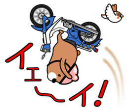 Bear rider Sticker sticker #14633133