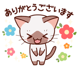 Siamese cat who speaks politely sticker #14634219