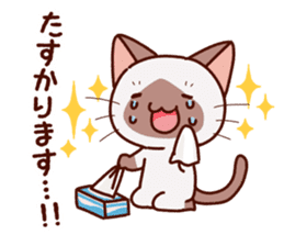Siamese cat who speaks politely sticker #14634221