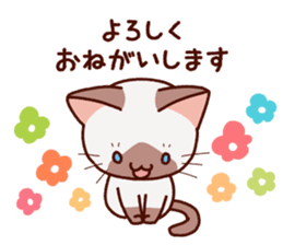 Siamese cat who speaks politely sticker #14634229