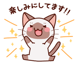 Siamese cat who speaks politely sticker #14634233