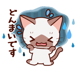 Siamese cat who speaks politely sticker #14634234