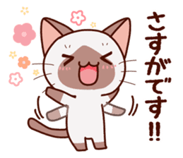 Siamese cat who speaks politely sticker #14634246