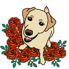 JULIA the Labrador Retriever