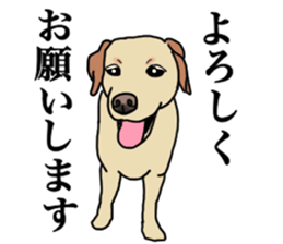 JULIA the Labrador Retriever sticker #14634846