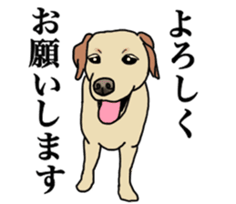 JULIA the Labrador Retriever sticker #14634846