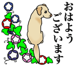 JULIA the Labrador Retriever sticker #14634847