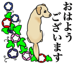 JULIA the Labrador Retriever sticker #14634847