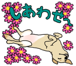 JULIA the Labrador Retriever sticker #14634849