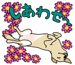 JULIA the Labrador Retriever sticker #14634849
