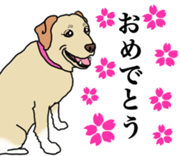 JULIA the Labrador Retriever sticker #14634853