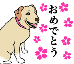 JULIA the Labrador Retriever sticker #14634853
