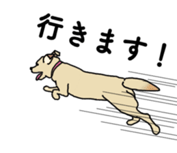 JULIA the Labrador Retriever sticker #14634854