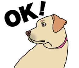 JULIA the Labrador Retriever sticker #14634855