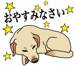 JULIA the Labrador Retriever sticker #14634856