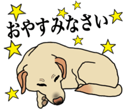 JULIA the Labrador Retriever sticker #14634856